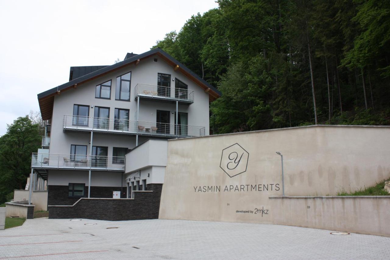 Hillpark Krkonose Apartment Vitkovice Exterior photo