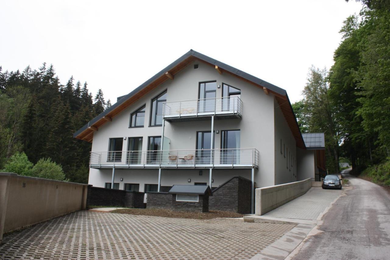 Hillpark Krkonose Apartment Vitkovice Exterior photo