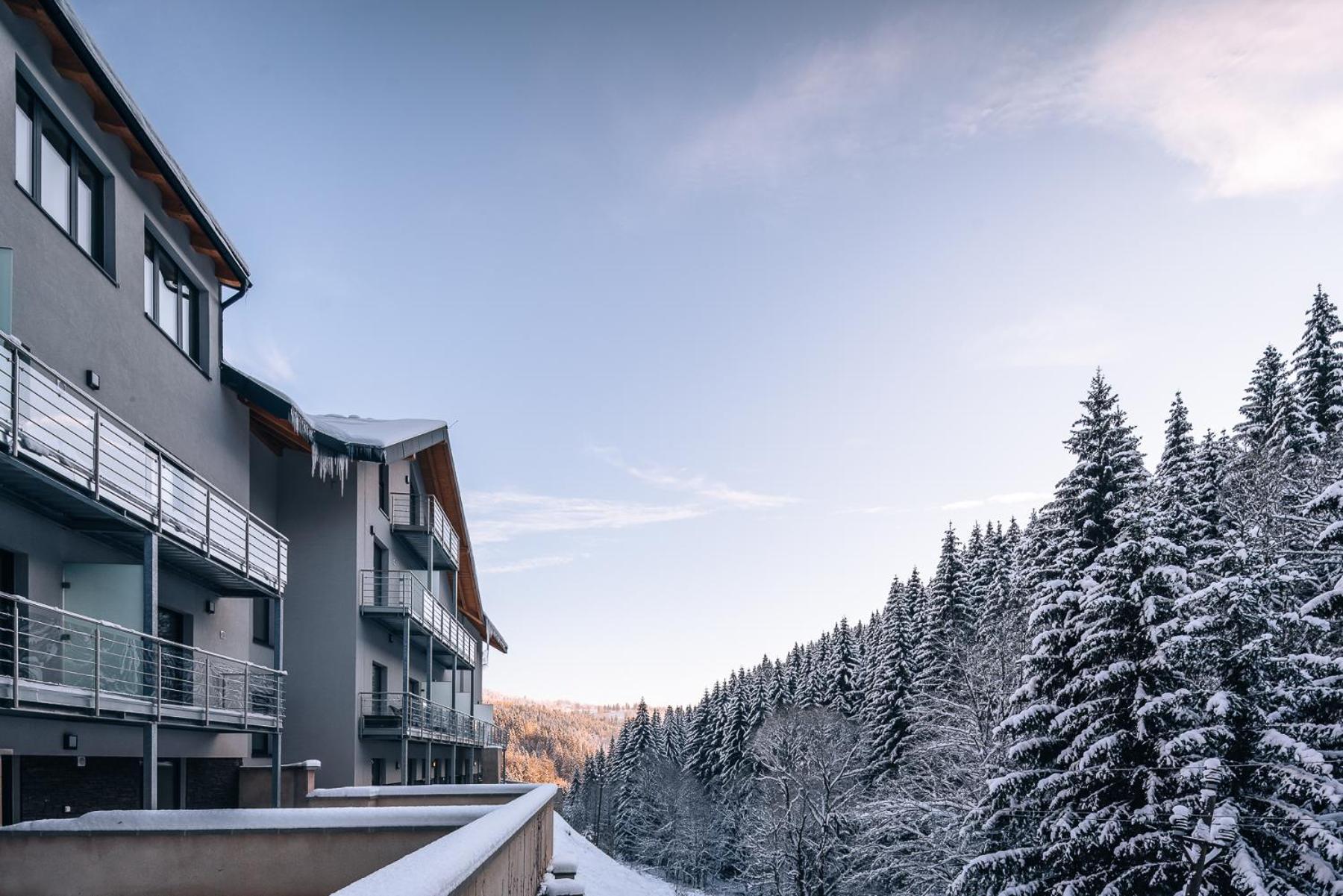 Hillpark Krkonose Apartment Vitkovice Exterior photo