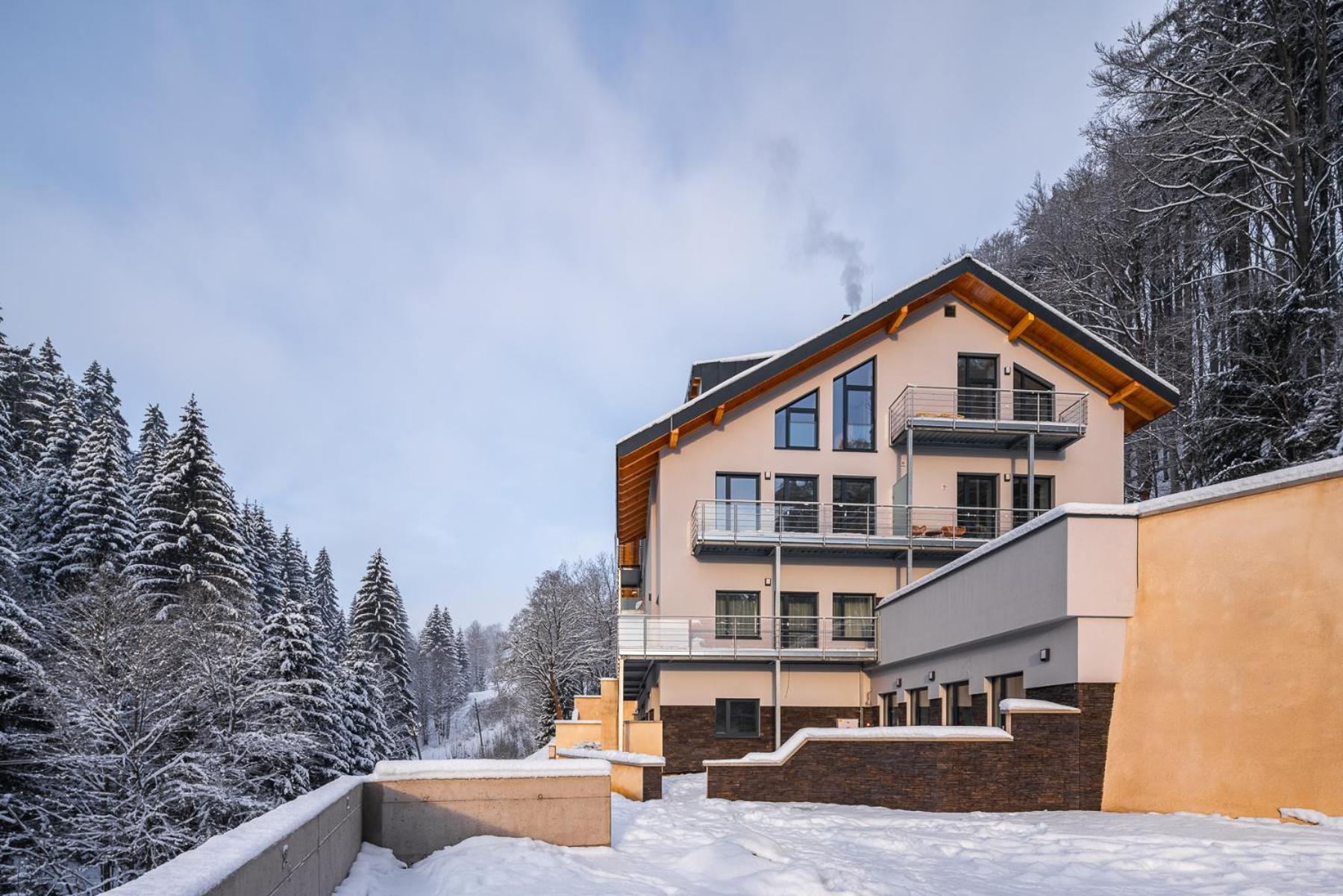 Hillpark Krkonose Apartment Vitkovice Exterior photo
