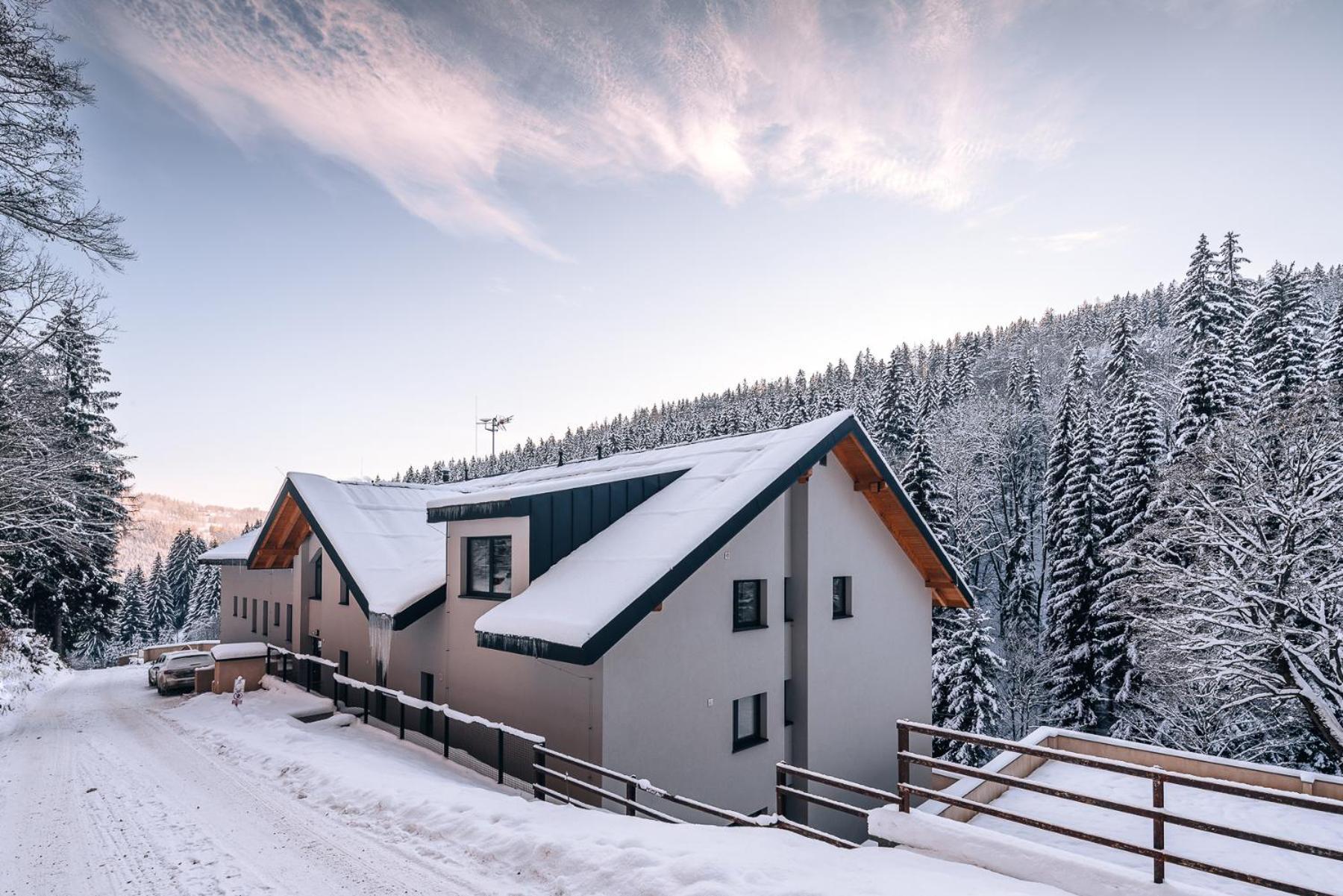 Hillpark Krkonose Apartment Vitkovice Exterior photo